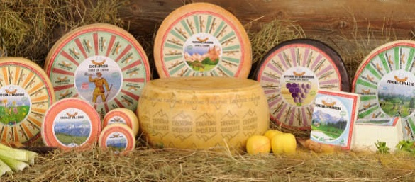 Gruppo Formaggi del Trentino