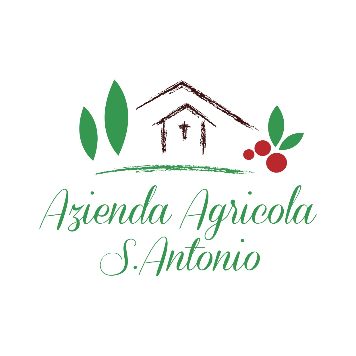 Logo Azienda Agricola S. Antonio