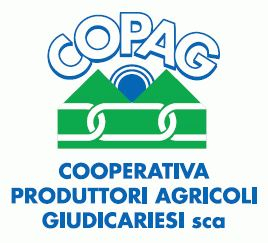 Logo Copag