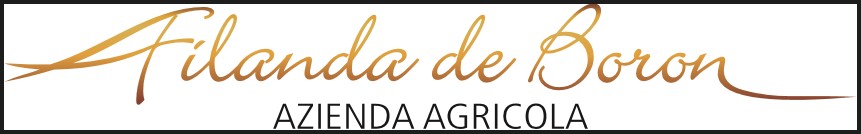 Azienda Agricola Filanda de Boron