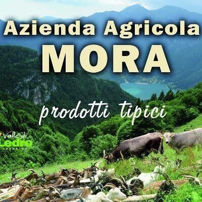 Logo Az. Agr. Mora