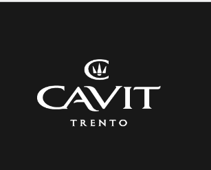Logo Cavit