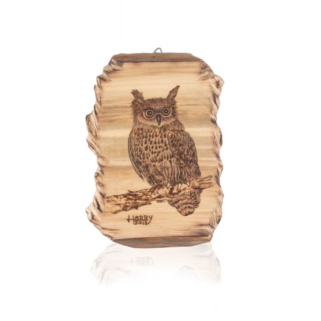 Pirografia Gufo I Pirografia