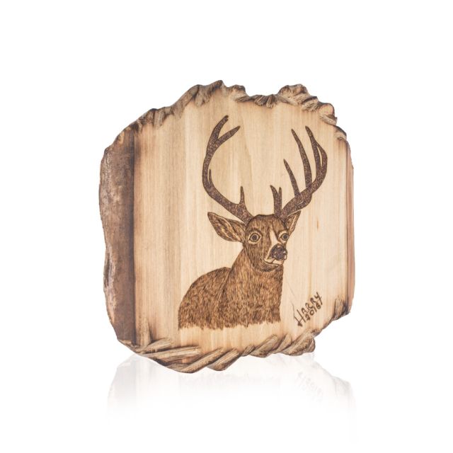 Pirografia Cervo Trentino I Pirografia