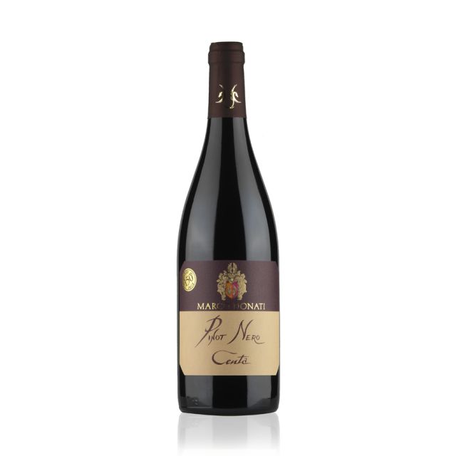 Pinot nero "Centa"